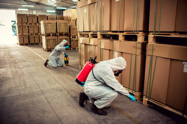 Best Termite Control Services  in Elim, PA