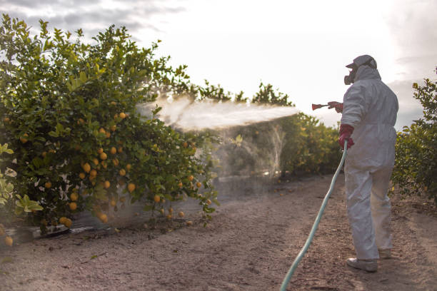 Best Best Pest Control Companies  in Elim, PA